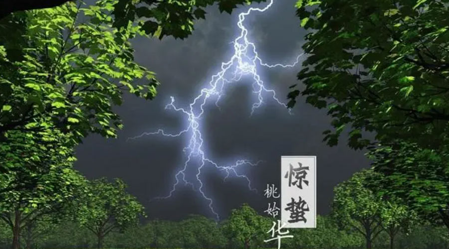 驚蟄時(shí)節！金環(huán)電器提醒大家的注意事項