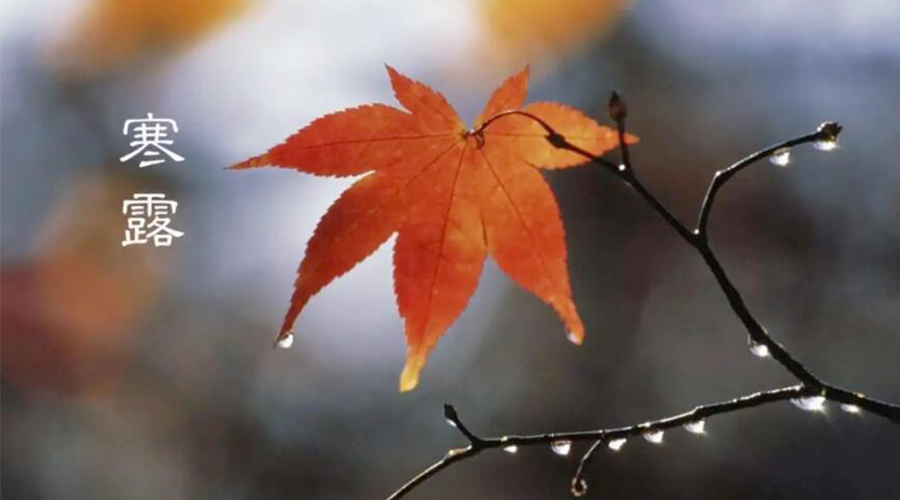 寒露時(shí)節！金環(huán)電器提醒大家要注意的事項