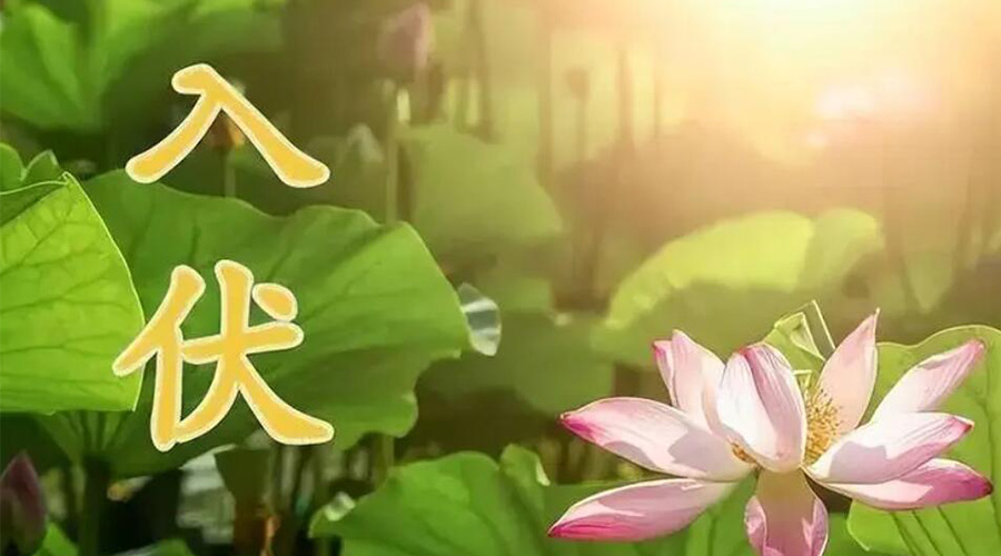 入伏天來(lái)襲！金環(huán)電器提醒大家要注意的事項