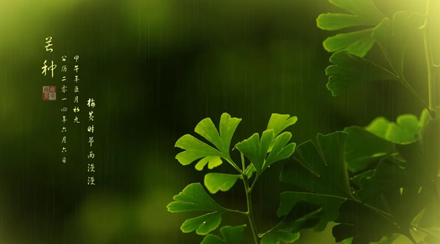 芒種時(shí)節！金環(huán)電器提醒大家的注意事項