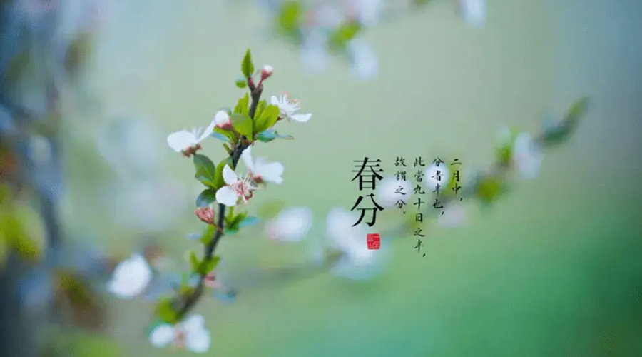 春分雨水多易生菌！金環(huán)電器提醒你衣物要注意處理