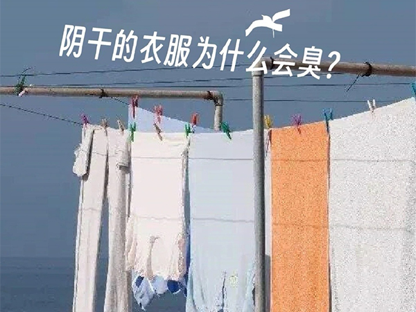 衣物護理機廠(chǎng)家